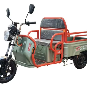 BODO-SL003 electric tricycle