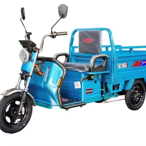 BODO-SL005 electric tricycle