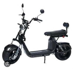 NFC dashboard e-bike, hydraulic suspension e-motorcycle, dual disc brake electric bike, tubeless tire electric motorcycle